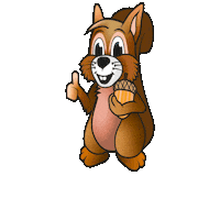 aichi_stadtaichach eichhörnchen aichi aichach aichi aichach Sticker