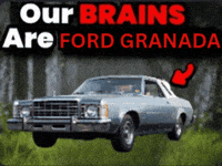 GabeNager ford granada 1976 our brains are GIF