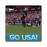 Go Us World Cup Sticker by Bovada