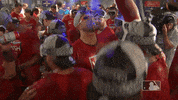Major League Baseball Win GIF by MLB