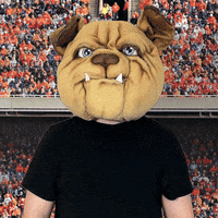 MUGRootBeer dog thumbs up mug yup GIF