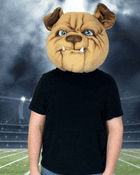 MUGRootBeer football dog flag mug GIF