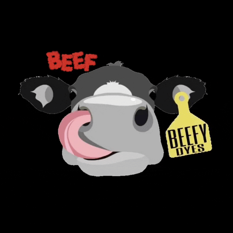 BeefyDyes giphyattribution beef beefy dyes GIF