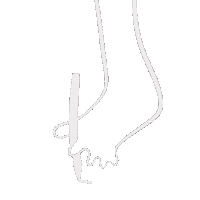 Illustration Feet Sticker