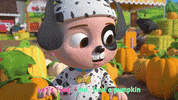 Pumpkin Patch Halloween GIF by moonbug