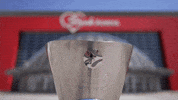Final Four Trophy GIF by EuroLeague