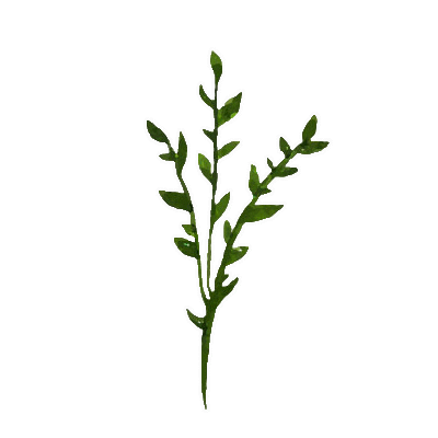 Julia_Ili giphyupload summer flower green Sticker