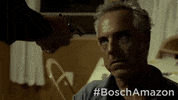 season 5 GIF by Bosch