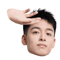 Fw Flashwolves Sticker