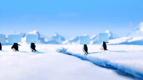 Line Up Penguin GIF by Pokémon