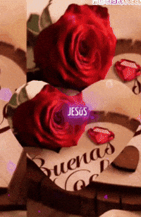 Amigos Familia GIF by Murcianys LLC
