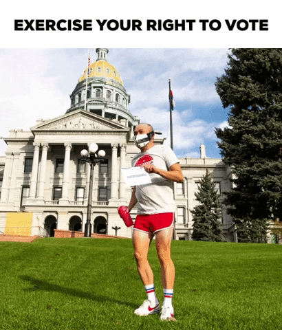 Vote GIF by Skratch Labs