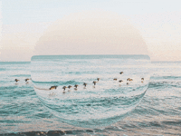 Germany Wow GIF by FranchiseONE.de