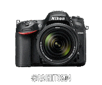 Nikoninstabadge D7200 Sticker by NikonIndia