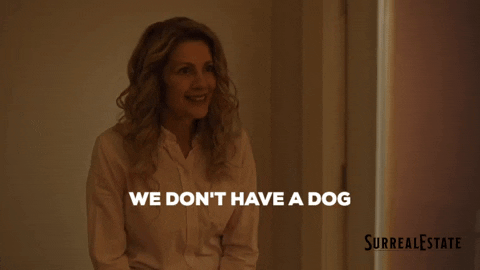 No Dog GIF by Blue Ice Pictures