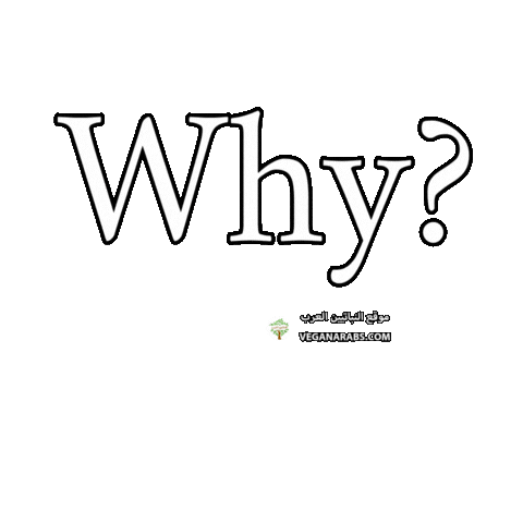 How Are You Yes Sticker by VeganArabs