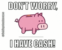 lieblingsbankmemes money cash pig geld GIF