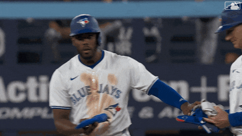 Blue Jays Baseball GIF by Toronto Blue Jays