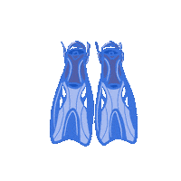 Sea Swimming Sticker