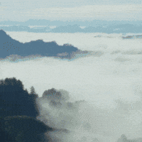 English Flag GIF by TeaCosyFolk