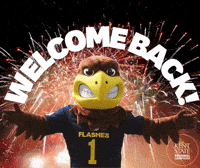 kentstateregionals kent state regional campus flash welcome back GIF