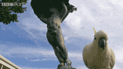 surprise hello GIF by BBC Earth