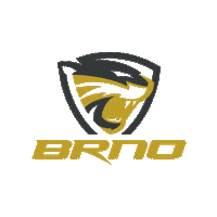 Matchday Selmybrno Sticker by Volejbal Brno