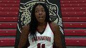 Womens Basketball Laughing GIF by Lafayette Leopards
