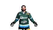 SteelersBietigheim eishockey steelers del scb Sticker