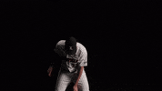 University Of Louisville Baseball GIF by Louisville Cardinals