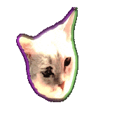 Publichild Sticker