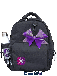 Cheerandgo water cheer bag cheerleader Sticker