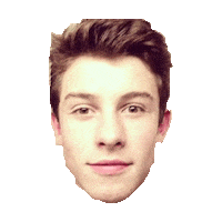 shawn mendes STICKER by imoji