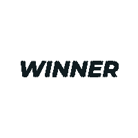 E-Xplorer electric racing e-xplorer racing upgraded e-xplorer champion Sticker