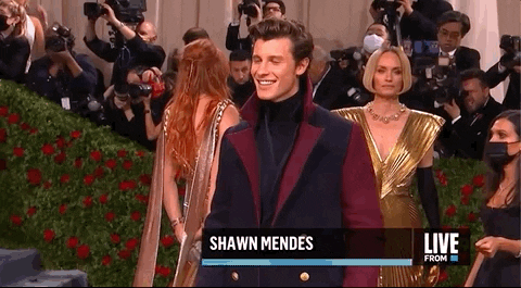 Shawn Mendes GIF by E!