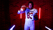 Catch Connor GIF by Richmond Spiders