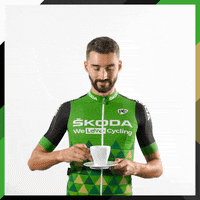 SkodaWeLoveCyclingFr happy cycling skoda skoda we love cycling GIF