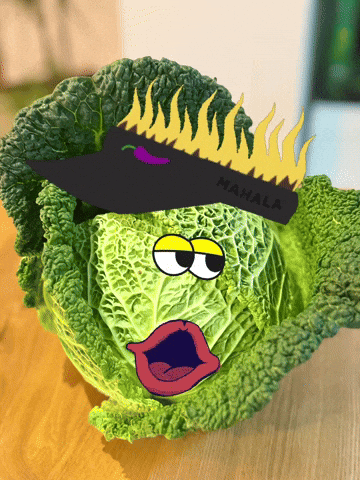 Cabbage Wirsing GIF