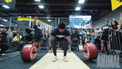 Yell Bench Press GIF by Animalpak