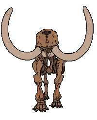 Natural History Education Sticker by American Museum of Natural History