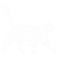 Cat Pet Sticker