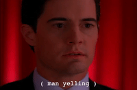 Season 2 Episode 22 GIF by Twin Peaks on Showtime