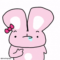 Bunni GIF