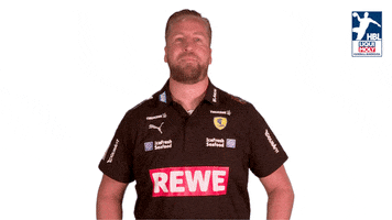 Handball-Bundesliga Fun GIF by LIQUI MOLY HBL