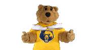 College Sports Sport Sticker by WVU Tech Golden Bears