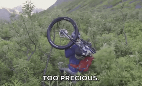 bike forest GIF by Red Bull