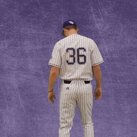 Baseball Wesleyan GIF by KWC Panthers