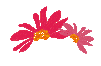 tintepapelaria pink rosa flor Ilustração Sticker