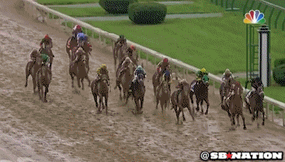 horse running GIF by SB Nation