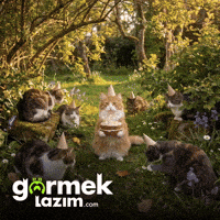 Happy Birthday GIF by Görmek Lazım